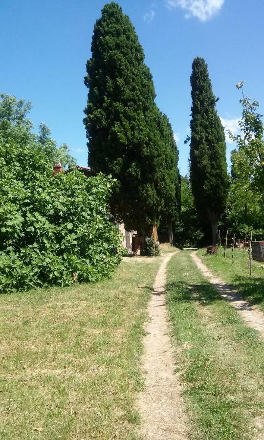 Villa Agriturismo Bosco Fiorito Muggia Exterior foto